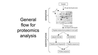 Genes, Genomics and Proteomics | PPTX