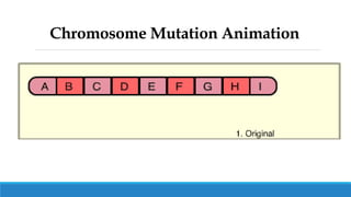 Chromosome Mutation Animation
 