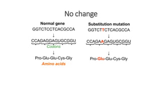 No change
Normal gene
GGTCTCCTCACGCCA
↓
CCAGAGGAGUGCGGU
Codons
↓
Pro-Glu-Glu-Cys-Gly
Amino acids
Substitution mutation
GGTCTTCTCACGCCA
↓
CCAGAAGAGUGCGGU
↓
Pro-Glu-Glu-Cys-Gly
 