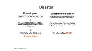 Disaster
Normal gene
GGTCTCCTCACGCCA
↓
CCAGAGGAGUGCGGU
Codons
↓
Pro-Glu-Glu-Cys-Gly
Amino acids
Substitution mutation
GGTCTCCTCACTCCA
↓
CCAGAAGAGUGAGGU
↓
Pro-Glu-Glu-STOP
© 2010 Paul Billiet ODWS
 