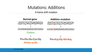 Mutations: Additions
Normal gene
GGTCTCCTCACGCCA
↓
CCAGAGGAGUGCGGU
Codons
↓
Pro-Glu-Glu-Cys-Gly
Amino acids
Addition mutation
GGTGCTCCTCACGCCA
↓
CCACGAGGAGUGCGGU
↓
Pro-Arg-Gly-Val-Arg
A frame shift mutation
© 2010 Paul Billiet ODWS
 