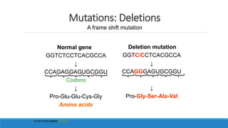 Mutations: Deletions
Normal gene
GGTCTCCTCACGCCA
↓
CCAGAGGAGUGCGGU
Codons
↓
Pro-Glu-Glu-Cys-Gly
Amino acids
Deletion mutation
GGTC/CCTCACGCCA
↓
CCAGGGAGUGCGGU
↓
Pro-Gly-Ser-Ala-Val
A frame shift mutation
© 2010 Paul Billiet ODWS
 