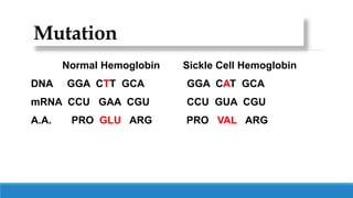 Mutation
Normal Hemoglobin Sickle Cell Hemoglobin
DNA GGA CTT GCA GGA CAT GCA
mRNA CCU GAA CGU CCU GUA CGU
A.A. PRO GLU ARG PRO VAL ARG
 