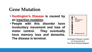 Gene Mutation
 Huntington’s Disease is caused by
an insertion mutation.
 People with this disorder have
involuntary movement and loss of
motor control. They eventually
have memory loss and dementia.
The disease is terminal. Huntington Disease Located
on chromosome 4
First Gene Disease Mapped
 