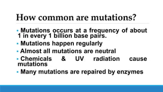 How common are mutations?
 Mutations occurs at a frequency of about
1 in every 1 billion base pairs.
 Mutations happen regularly
 Almost all mutations are neutral
 Chemicals & UV radiation cause
mutations
 Many mutations are repaired by enzymes
 