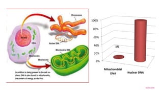 0%
20%
40%
60%
80%
100%
Mitochondrial
DNA Nuclear DNA
1%
02/03/2018
3
 