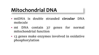 Mitochondrial DNA
 mtDNA is double stranded circular DNA
molecule
 mt DNA contain 37 genes for normal
mitochondrial function
 13 genes make enzymes involved in oxidative
phosphorylation
4
 