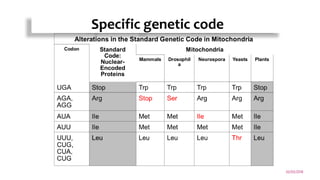 Specific genetic code
02/03/2018
6
 
