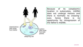 02/03/2018
8
Because of its cytoplasmic
location in eukaryotes, mtDNA
does not undergo meiosis and
there is normally no crossing-
over, hence there is no
opportunity for introgression of
the father’s mtDNA.
 