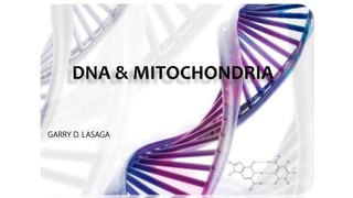 GARRY D. LASAGA
DNA & MITOCHONDRIA
1
GARRY D. LASAGA
 