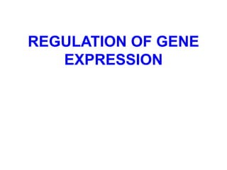 REGULATION OF GENE
EXPRESSION
 