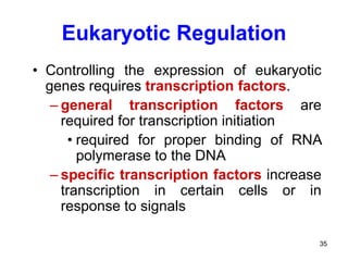 Regulation of Gene Expression | PPTX