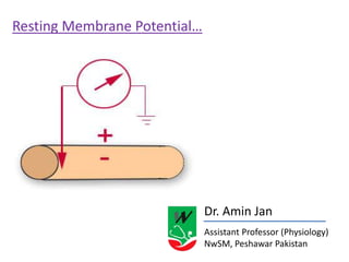 Dr. Amin Jan
Assistant Professor (Physiology)
NwSM, Peshawar Pakistan
Resting Membrane Potential…
 