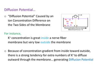 Diffusion Potential…
o “Diffusion Potential” Caused by an
ion Concentration Difference on
the Two Sides of the Membrane
For instance,
K+ concentration is great inside a nerve ﬁber
membrane but very low outside the membrane
o Because of concentration gradient from inside toward outside,
there is a strong tendency for extra numbers of K+ to diffuse
outward through the membrane… generating Diffusion Potential
 