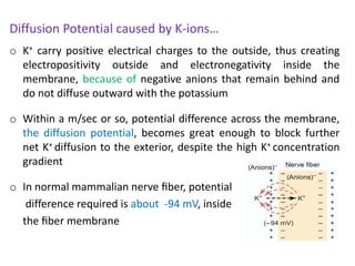 o K+ carry positive electrical charges to the outside, thus creating
electropositivity outside and electronegativity inside the
membrane, because of negative anions that remain behind and
do not diffuse outward with the potassium
o Within a m/sec or so, potential difference across the membrane,
the diffusion potential, becomes great enough to block further
net K+ diffusion to the exterior, despite the high K+ concentration
gradient
o In normal mammalian nerve ﬁber, potential
difference required is about -94 mV, inside
the ﬁber membrane
Diffusion Potential caused by K-ions…
 