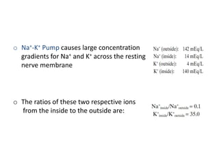 o Na+-K+ Pump causes large concentration
gradients for Na+ and K+ across the resting
nerve membrane
o The ratios of these two respective ions
from the inside to the outside are:
 