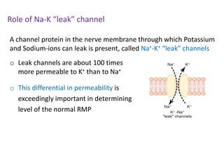 Role of Na-K “leak” channel
A channel protein in the nerve membrane through which Potassium
and Sodium-ions can leak is present, called Na+-K+ “leak” channels
o Leak channels are about 100 times
more permeable to K+ than to Na+
o This differential in permeability is
exceedingly important in determining
level of the normal RMP
 