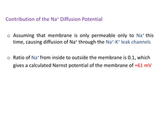 Contribution of the Na+ Diffusion Potential
o Assuming that membrane is only permeable only to Na+ this
time, causing diffusion of Na+ through the Na+-K+ leak channels
o Ratio of Na+ from inside to outside the membrane is 0.1, which
gives a calculated Nernst potential of the membrane of +61 mV
 