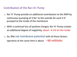 Contribution of the Na+-K+ Pump
o Na+-K+ Pump provide an additional contribution to the RMP by
continuous pumping of 3 Na+ to the outside for each 2 K+
pumped to the inside of the membrane
o With a continual loss of positive charges; Na+-K+ Pump creates
an additional degree of negativity, about –4 mV on the inside
o So, the net membrane potential with all these factors
operative at the same time is about –90 milliVolts
 