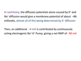 In summary, the diffusion potentials alone caused by K+ and
Na+ diffusion would give a membrane potential of about –86
millivolts, almost all of this being determined by K+ diffusion
Then, an additional –4 mV is contributed by continuously
acting electrogenic Na+-K+ Pump, giving a net RMP of –90 mV
 
