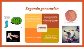 Segunda generación
Tienen actividad un poco
aumentada contra Gram-,
pero mucho menor actividad
que las de 3ª generación
Son activas contra cepas
sensibles de especies del
genero Enterobacter,
especies del genero Proteus
y especies de Klebsiella
Son activas contra B. fragilis
La cefoxitina, cefotetán y
cefmetazol han sido
descontinuadas en EEUU
Cefalosporinas
2ª generación
 
