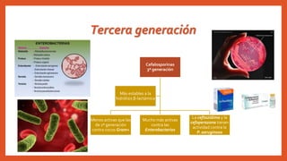 Tercera generación
Cefalosporinas
3ª generación
Menos activas que las
de 1ª generación
contra cocos Gram+
Mucho más activas
contra las
Enterobacterias
La ceftazidima y la
cefoperazona tienen
actividad contra la
P. aeruginosa
Más estables a la
hidrólisis β-lactámica
 