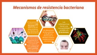 Mecanismos de resistencia bacteriana
La resistencia puede
estar relacionada a la
incapacidad de los
antibióticos de llegar
a sus puntos de
acción o alteraciones
de las proteínas de
unión a penicilina
que son blanco de las
cefalosporinas.
Las alteraciones
de dos proteínas
(1-A,2X) que
disminuyen su
afinidad confieren
resistencia de los
neumococos
El mecanismo de
resistencia más
frecuente es la
destrucción de
éstas proteínas
por hidrolisis del
anillo β-lactámico
Las
cefalosporinas
tienen una
susceptibilidad
variable a la
β-lactamasa.
 