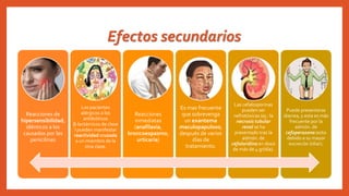 Efectos secundarios
Reacciones de
hipersensibilidad,
idénticos a los
causados por las
penicilinas
Los pacientes
alérgicos a los
antibióticos
β-lactámicos de clase
I pueden manifestar
reactividad cruzada
a un miembro de la
otra clase.
Reacciones
inmediatas
(anafilaxia,
broncoespasmo,
urticaria)
Es mas frecuente
que sobrevenga
un exantema
maculopapuloso,
después de varios
días de
tratamiento.
Las cefalosporinas
pueden ser
nefrotóxicas (ej.: la
necrosis tubular
renal se ha
presentado tras la
admón. de
cefaloridina en dosis
de más de 4 gr/día).
Puede presentarse
diarrea, y esta es más
frecuente por la
admón. de
cefoperazona (esto
debido a su mayor
excreción biliar).
 