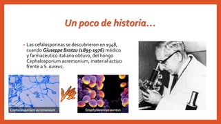 Un poco de historia…
• Las cefalosporinas se descubrieron en 1948,
cuando Giuseppe Brotzu (1895-1976) médico
y farmacéutico italiano obtuvo, del hongo
Cephalosporium acremonium, material activo
frente a S. aureus.
Staphylococcus aureusCephalosporium acremonium
 