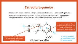 Estructura química
• Los antibióticos cefalosporínicos son producidos a partir del ácido 7-aminocefalosporánico.
• Son relativamente estables en ácidos diluidos y relativamente resistentes a la penicilinasa
independientemente de las características laterales y su afinidad por la enzima.
la posición 7 del anillo β-lactámico
se relaciona con la actividad
antibacteriana
3
La posición 3 del anillo
dihidrotiazino se relaciona con
el metabolismo y las
propiedades farmacocinéticas
A B
A: anillo β-lactámico
B: anillo dihidrotiazino
R: cadena lateral
 