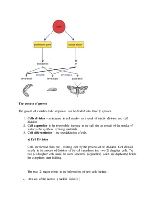 The process of growth
The growth of a multicellular organism can be divided into three (3) phases.
1. Cells division – an increase in cell number as a result of mitotic division and cell
division.
2. Cell expansion- is the irreversible increase in the cell size as a result of the uptake of
water in the synthesis of living materials.
3. Cell differentiation – the specialization of cells.
a) Cell Division
Cells are formed from pre – existing cells by the process of cell division. Cell division
strictly is the process of division of the cell cytoplasm into two (2) daughter cells. The
two (2) daughter cells share the same structures (organelles) which are duplicated before
the cytoplasm start dividing.
The two (2) major events in the information of new cells include.
 Division of the nucleus ( nuclear division )
 