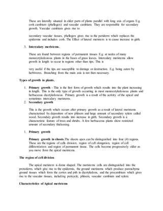 These are laterally situated in older parts of plants parallel with long axis of organs E.g.
cork cambium (phellogen) and vascular cambium. They are responsible for secondary
growth. Vascular cambium gives rise to
secondary vascular tissues, phellogen gives rise to the periderm which replaces the
epidermis and includes cork. The Effect of lateral meristem is to cause increase in girth.
3. Intercalary meristems.
These are found between regions of permanent tissues E.g. at nodes of many
monocotyledonous plants in the bases of grass leaves. Intercalary meristems allow
growth in length to occur in regions other than tips. This is
very useful if the tips are susceptible to damage or destruction. E.g. being eaten by
herbivores. Branching from the main axis is not then necessary.
Types of growth in plants.
1. Primary growth - This is the first form of growth which results into the plant increasing
in length. This is the only type of growth occurring in most monocotyledonous plants and
herbaceous dicotyledonous. Primary growth is a result of the activity of the apical and
sometimes intercalary meristems.
2. Secondary growth
This is the growth which occurs after primary growth as a result of lateral meristems
characterized by deposition of new phloem and large amount of secondary xylem called
wood. Secondary growth results into increase in girth. Secondary growth is a
characteristic feature of trees and shrubs. A few herbaceous plants show restricted
amount of secondary thickening.
1. Primary growth
Primary growth in shoots.The shoots apex can be distinguished into four (4) regions.
These are the regions of cells division, region of cell elongation, region of cell
differentiation and region of permanent tissue. The cells become progressively older as
you move from the apical meristems.
The region of cell division.
The apical meristem is dome shaped. The meristems cells are distinguished into the
protoderm, which give rise to the epidermis, the ground meristems which produce parenchyma
ground tissues which form the cortex and pith in dicotyledons, and the procambium which gives
rise to the vascular tissues, including pericycle, phloem, vascular cambium and xylem.
Characteristics of Apical meristems
 