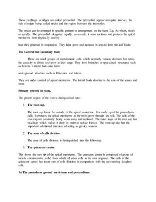 These swellings or ridges are called primordial. The primordial appear at regular interval, the
side of origin being called nodes and the region between the internodes.
The nodes can be arranged in specific pattern or arrangement on the stem. E.g. As whort, singly
or spirally. The primordial elongates rapidly, as a result, it soon encloses and protects the apical
meristems both physically and by
heat they generate in respiration. They later grow and increase in area to form the leaf blade.
The Lateral bud (auxiliary bud)
These are small groups of meristematic cells which normally remain dormant but retain
the capacity to divide and grow at later stage. They form branches or specialized structures such
as flowers. Lateral buds also form
underground structure such as Rhizomes and tubers.
They are under control of apical meristems. The lateral buds develop in the axis of the leaves and
stem.
Primary growth in roots.
The growth region of the root is distinguished into:
1. The root cap.
The root cap forms the outside of the apical meristems. It is made up of the parenchyma
cells. It protects the apical meristems as the roots grow through the soil. The cells of the
root cap are constantly being worn away and replaced. The outer layer of the root cap has
mucilage which makes it slimy in order to reduce friction. The root cap also has the
important additional function of acting as gravity sensors.
2. The zone of cells division.
The zone of cells division is distinguished into the following:
3. The quiescent centre
This forms the very tip of the apical meristems. The quiescent centre is composed of group of
initials (meristematic cells) from which all other cells in the root originate. The cells in the
quiescent centre has lower rate of cells division in comparison with the surrounding daughter
cells.
b) The protoderm ground meristems and procambium.
 