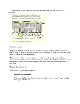 This dissolves the soft inner part, mean while the new cuticle soft first in secreted by
epidermis.
Growth in insects.
The process of growth in insects involves changes in body for involving number of stages in
their life cycle i.e. from the young to the adult form. The changes of forms from the young to the
adults are referred to as metamorphosis.
Metamorphosis is found also in other groups of organisms such as amphibians, molluses,
crustaceans, termatodes, cestodes and echinoderms to mention a few. In these organisms the term
metamorphosis applies to those rapid changes which occur during the transition from larva to
adult form.
Metamorphosis in insects.
These are two (2) types of metamorphosis
1. Complete metamorphosis
In this type, the life cycle of an insect passes through a series of four (4) stages i.e. Egg,
larva, pupa and adult form.
 