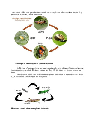 Insects that exhibit this type of metamorphosis are referred to as holometabolous insects. E.g.
Butterflies, houseflies, Moths and bettles.
2.Incomplete metamorphosis (hemimetabolous)
In this type of metamorphosis, an insect pass through series of three (3) stages where the
young resembles the adult. The insect passes into three (3) life stages i.e. the egg, nymph and
adult.
Insects which exhibit this type of metamorphosis are known as hemimetabolous insects
e.g. Cockroaches. Grasshoppers and mosquitoes.
Hormonal control of metamorphosis in insects
 