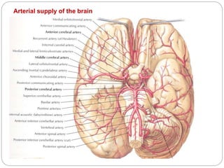 Arterial supply of the brain
 