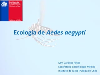 M.V. Carolina Reyes
Laboratorio Entomología Médica
Instituto de Salud Pública de Chile
Ecología de Aedes aegypti
 