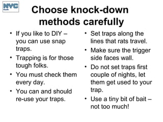 Choose knock-down
methods carefully
• If you like to DIY –
you can use snap
traps.
• Trapping is for those
tough folks.
• You must check them
every day.
• You can and should
re-use your traps.
• Set traps along the
lines that rats travel.
• Make sure the trigger
side faces wall.
• Do not set traps first
couple of nights, let
them get used to your
trap.
• Use a tiny bit of bait –
not too much!
 