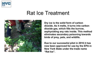 Rat Ice Treatment
Dry ice is the solid form of carbon
dioxide. As it melts, it turns into carbon
dioxide gas, which fills the burrow,
asphyxiating any rats inside. This method
eliminates secondary poisoning towards
birds of prey, pets, and wildlife.
Due to our successful pilot in 2016 it has
now been approved for use by the EPA in
New York State under the trade name
“Rat Ice”.
 