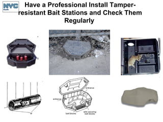 Have a Professional Install Tamper-
resistant Bait Stations and Check Them
Regularly
 