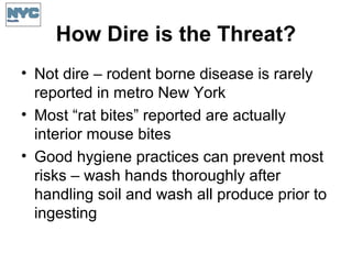 How Dire is the Threat?
• Not dire – rodent borne disease is rarely
reported in metro New York
• Most “rat bites” reported are actually
interior mouse bites
• Good hygiene practices can prevent most
risks – wash hands thoroughly after
handling soil and wash all produce prior to
ingesting
 