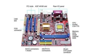 2.2. factor de forma de placa madre