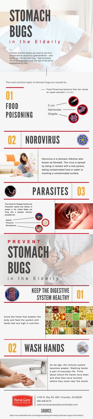 stomach bugs in the elderly