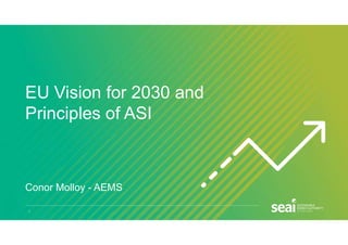 Eu Vision Towards 2030 And Principles Of Asi Pdf