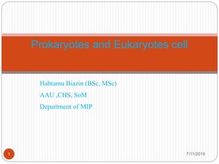 2. Prokaryotic and eukaryotic cell structure | PPTX