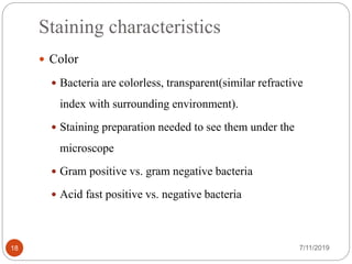 Staining characteristics
7/11/201918
 Color
 Bacteria are colorless, transparent(similar refractive
index with surrounding environment).
 Staining preparation needed to see them under the
microscope
 Gram positive vs. gram negative bacteria
 Acid fast positive vs. negative bacteria
 