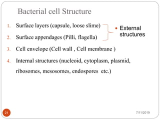 Bacterial cell Structure
1. Surface layers (capsule, loose slime)
2. Surface appendages (Pilli, flagella)
3. Cell envelope (Cell wall , Cell membrane )
4. Internal structures (nucleoid, cytoplasm, plasmid,
ribosomes, mesosomes, endospores etc.)
7/11/201921
 External
structures
 