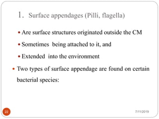 1. Surface appendages (Pilli, flagella)
 Are surface structures originated outside the CM
 Sometimes being attached to it, and
 Extended into the environment
 Two types of surface appendage are found on certain
bacterial species:
7/11/201922
 