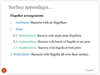 Surface appendages…
Flagellar arrangements
1. Atrichous: Bacteria with no flagellum.
2. Polar
2.1. Monotrichous: Bacteria with single polar flagellum.
2.1. Lophotrichous: Bacteria with bunch of flagella at one pole.
2.3 Amphitrichous: Bacteria with flagella at both poles.
3. Peritrichous: Bacteria with flagella all over their surface.
7/11/201926
 