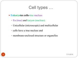 Cell types …
7/11/20193
 Eukaryotes cells-true nucleus
 Eu (true) and karyon (nucleus).
 Unicellular (microscopic) and multicellular
 cells have a true nucleus and
 membrane-enclosed structure or organelles
 